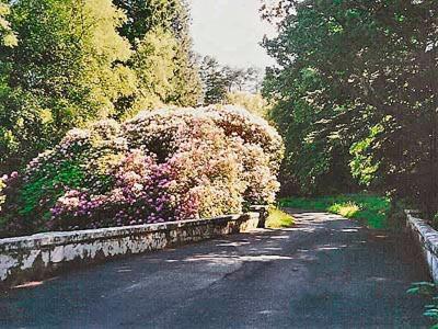 Forget Me Not - SKKZ Villa Dalmellington Eksteriør bilde